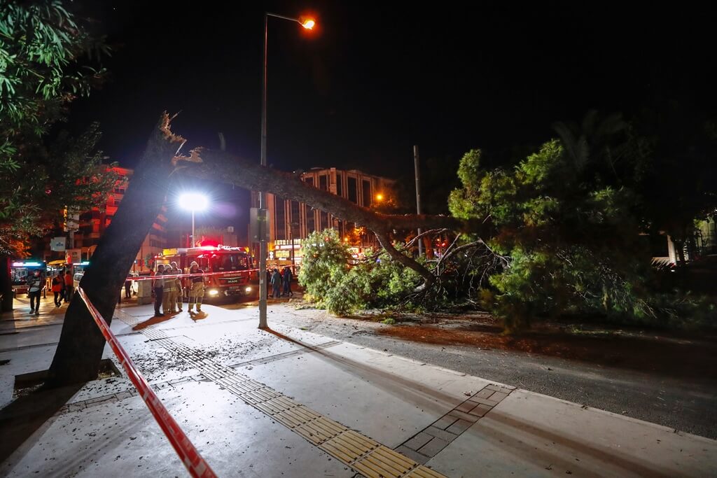 Konak'ta devrilen ağaç trafiği aksattı