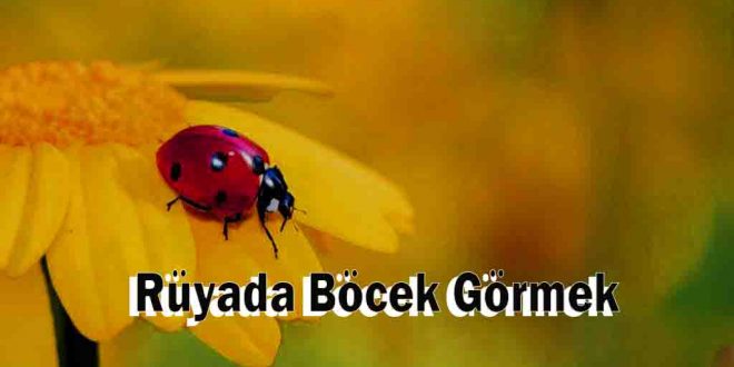 Rüyada Böcek Görmek