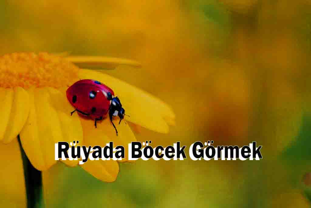 Rüyada Böcek Görmek