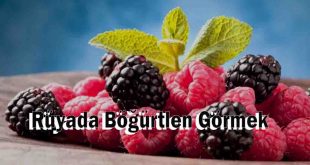 Rüyada Böğürtlen Görmek