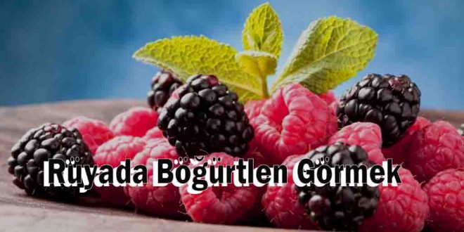 Rüyada Böğürtlen Görmek