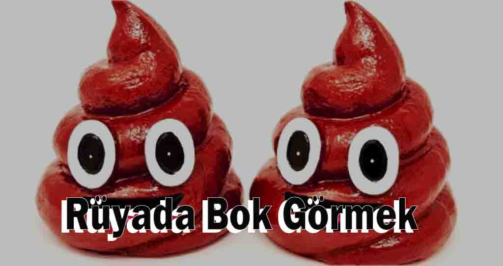 Rüyada Bok Görmek