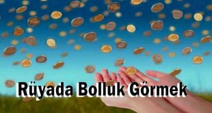 Rüyada Bolluk Görmek