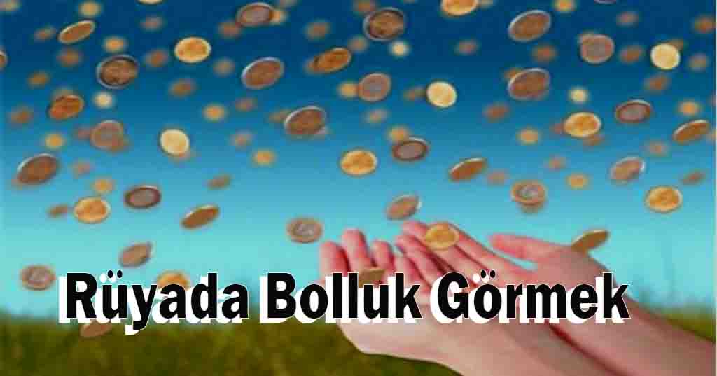 Rüyada Bolluk Görmek