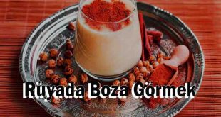 Rüyada Boza Görmek