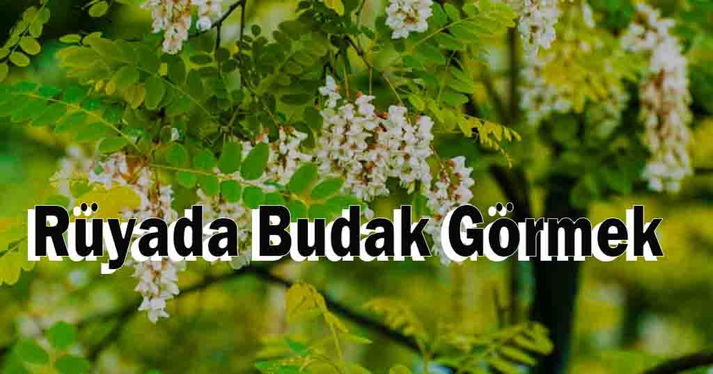 Rüyada Budak Görmek