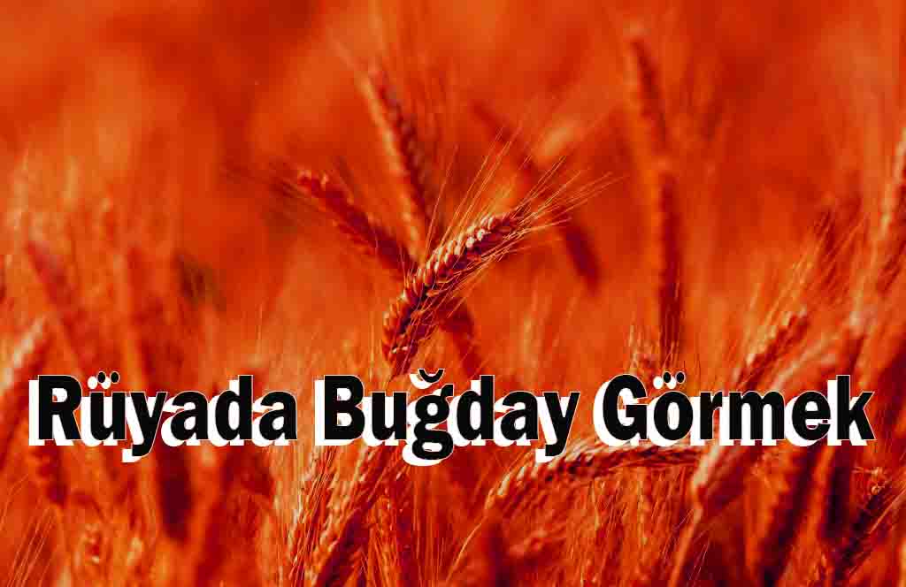 Rüyada Buğday Görmek