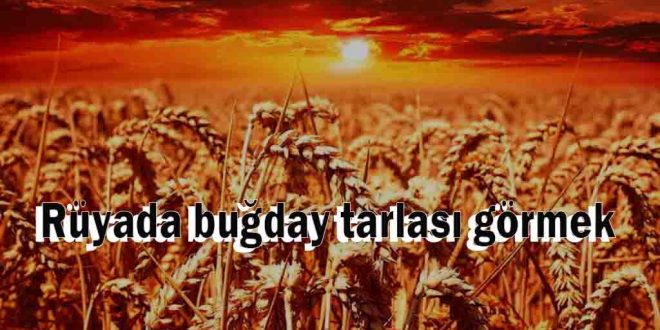 Rüyada buğday tarlası görmek