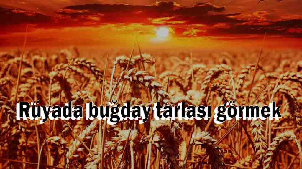 Rüyada buğday tarlası görmek