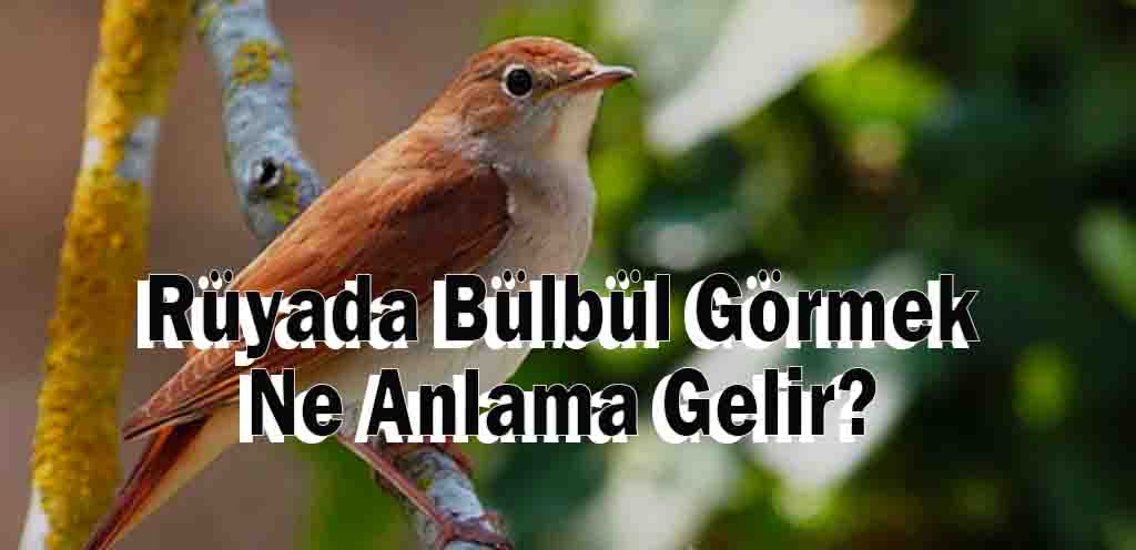 Rüyada Bülbül Görmek Ne Anlama Gelir? Rüya Tabiri Nedir?