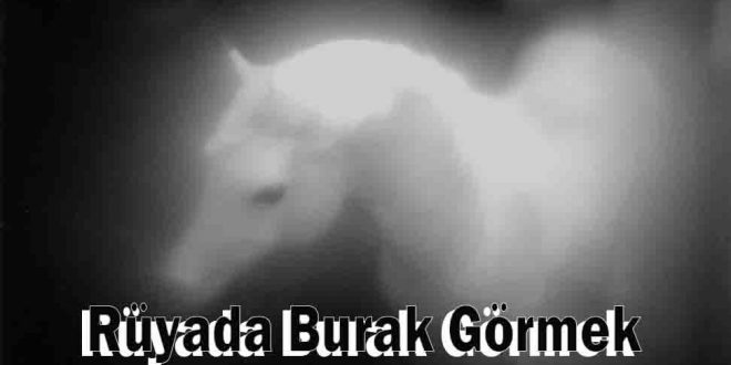 Rüyada Burak Görmek