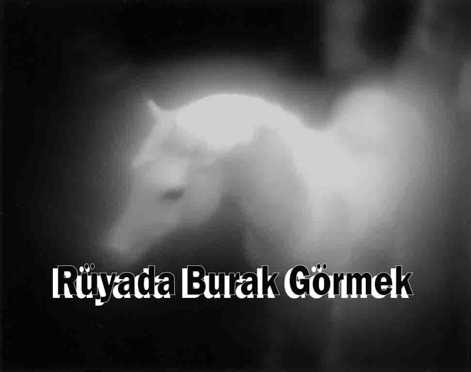 Rüyada Burak Görmek