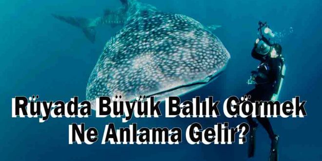 Rüyada Büyük Balık Görmek Ne Anlama Gelir, Neye Yorulur?