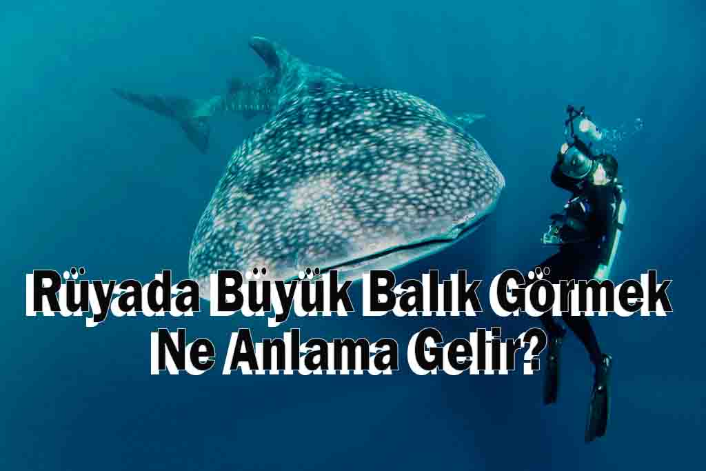 Büyük balık görmek ne anlama gelir?