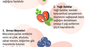 BEYİN SAĞLIĞI İÇİN FAYDALI 5 ÖNEMLİ BESİN