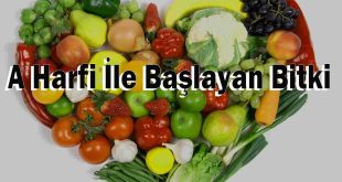 A Harfi İle Başlayan Bitki