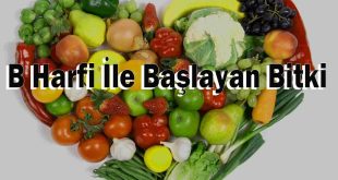 B Harfi İle Başlayan Bitki