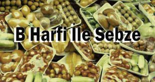 B Harfi İle Sebze