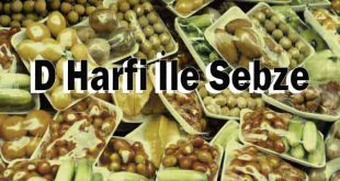 D Harfi İle Sebze