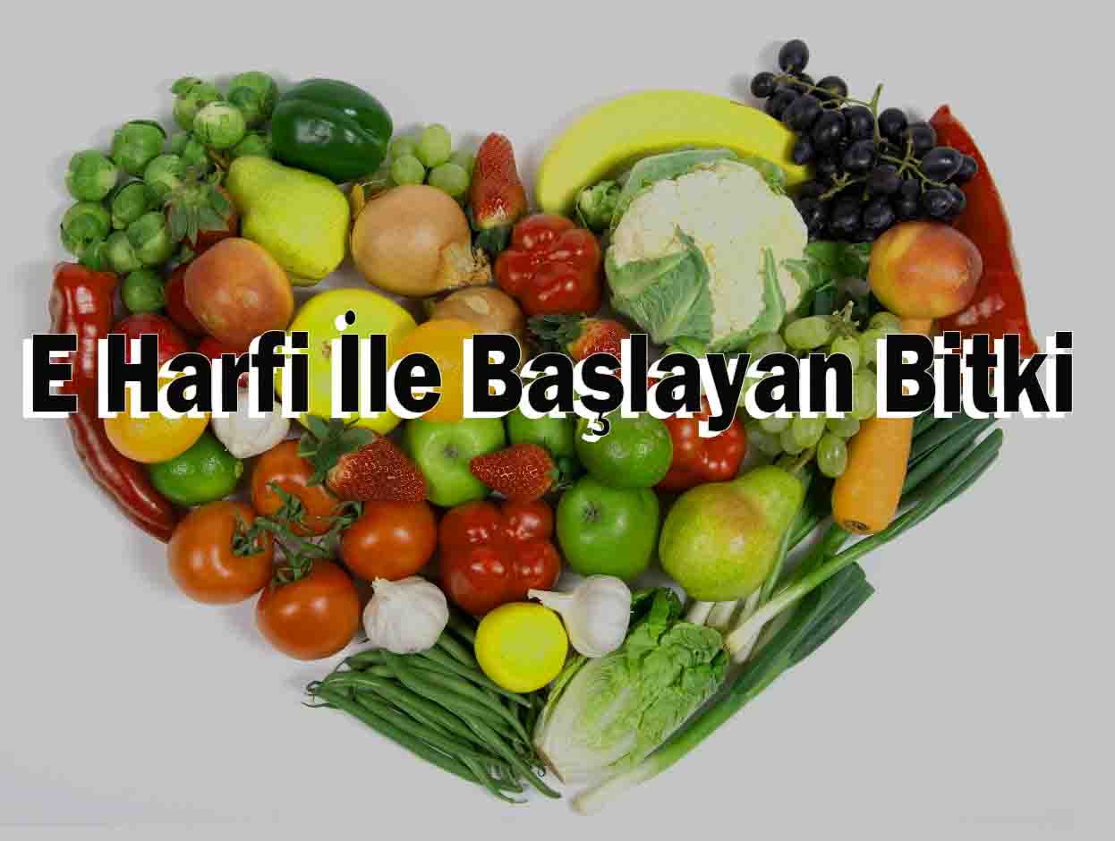 E Harfi İle Bitki