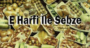 E Harfi İle Sebze