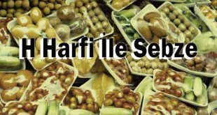 H Harfi İle Sebze