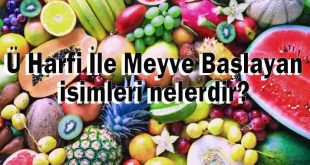 Ü Harfiyle İle Meyve